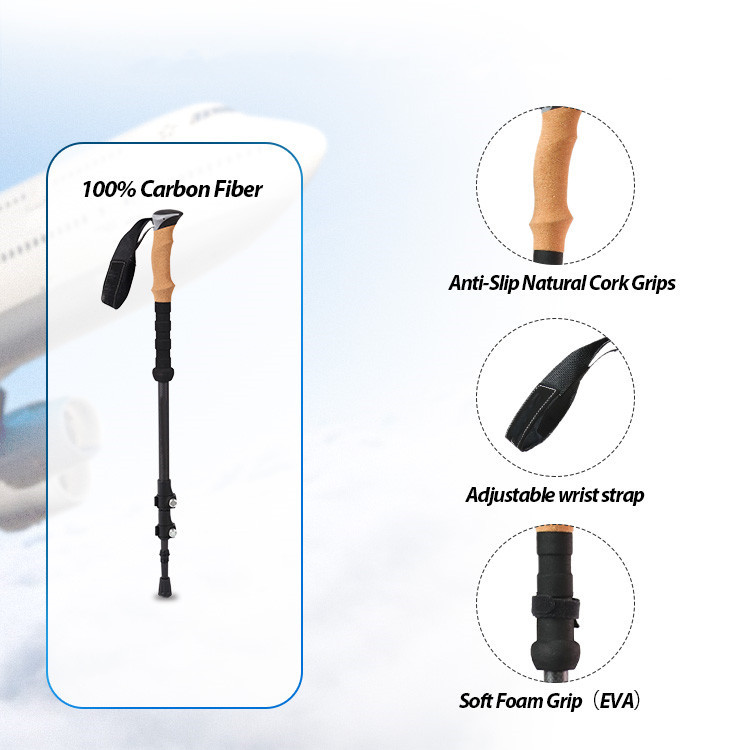 Ang locking system ng isang trekking poste